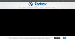 Desktop Screenshot of faelluce.com